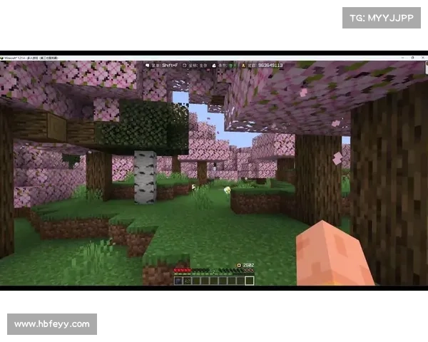 离线游戏：探索我的世界